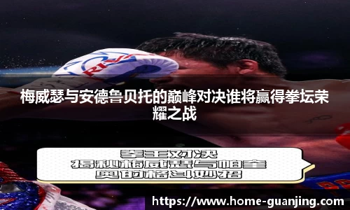 梅威瑟与安德鲁贝托的巅峰对决谁将赢得拳坛荣耀之战